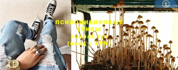 2c-b Армянск