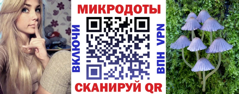 Псилоцибиновые грибы GOLDEN TEACHER  цены   Ступино 